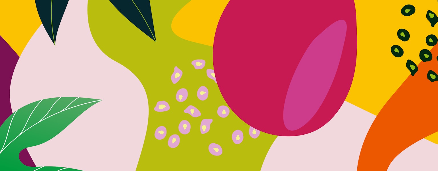 Colorido Studios |